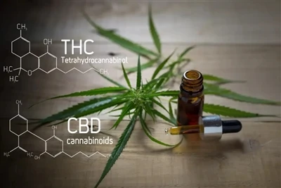 CBD & THC Vape Industry Oversigt: Seneste komplette guide