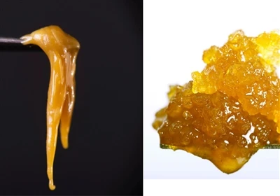 Live harpiks vs. Live Rosin: Hvad er forskellen?